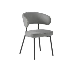 Chaise de Salle à Manger