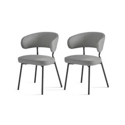Chaise de Salle à Manger