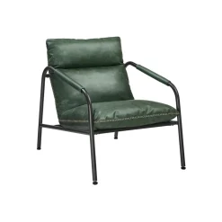 EKHO Fauteuil d’Appoint avec Accoudoirs