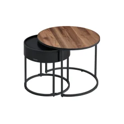 Lot de 2 tables basses marron rustique et noir d'encre
